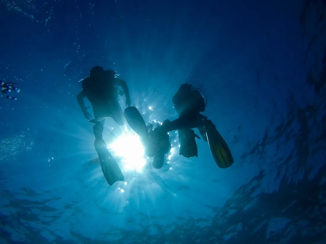 Underwater view representing Snorkeling & Scuba Diving in Koh Tao