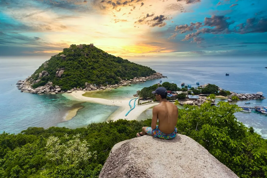 Lush green jungle representing hiking trails in Koh Tao