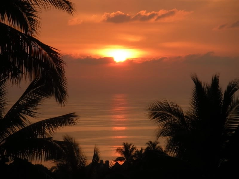 Sunset Between Trees - Beautiful Koh Tao Scenery