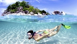snorkeling and scuba diving on koh tao